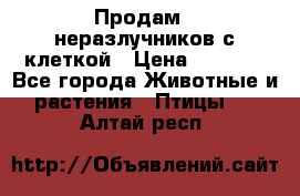 Продам 2 неразлучников с клеткой › Цена ­ 2 500 - Все города Животные и растения » Птицы   . Алтай респ.